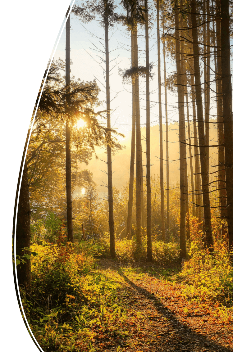 Anxiety Hypnotherapy in Nottingham