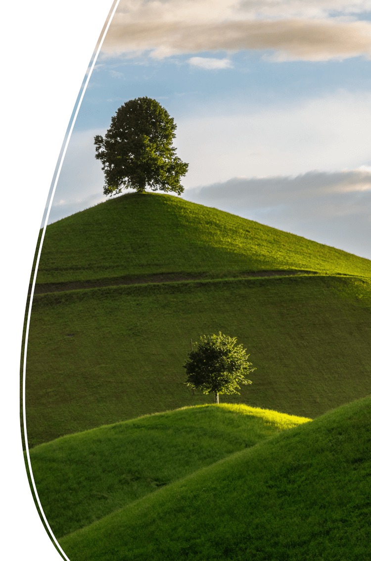 Hypnotherapy for Confidence in Nottingham Hypnotherapy for Confidence in Nottingham